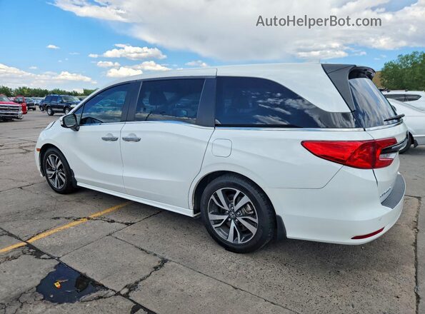 5FNRL6H83PB036045 2023 HONDA ODYSSEY White Задня ліва чверть