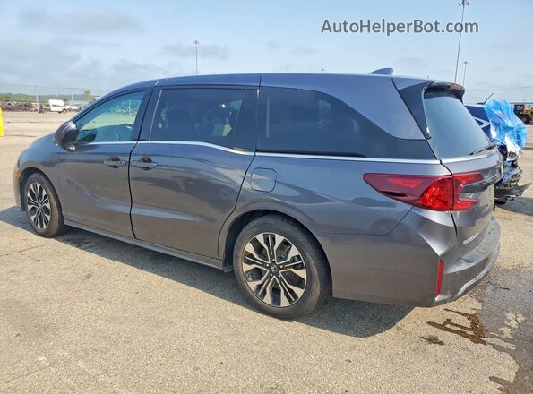 5FNRL6H99SB041901 2025 HONDA ODYSSEY Gray Задня ліва чверть