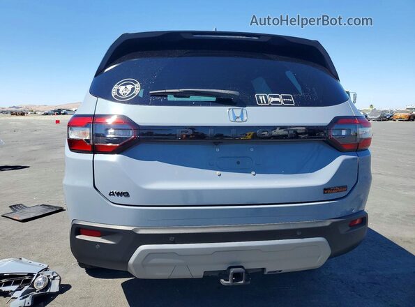 5FNYG1H67RB009659 2024 HONDA PILOT Gray Вид ззаду