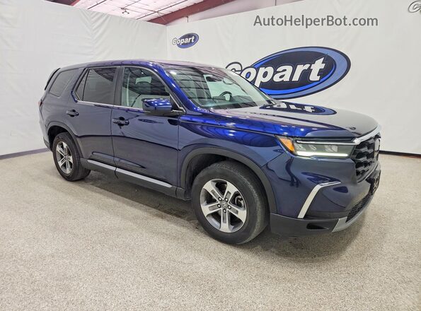 5FNYG2H56RB004465 2024 HONDA PILOT Blue Передня права чверть