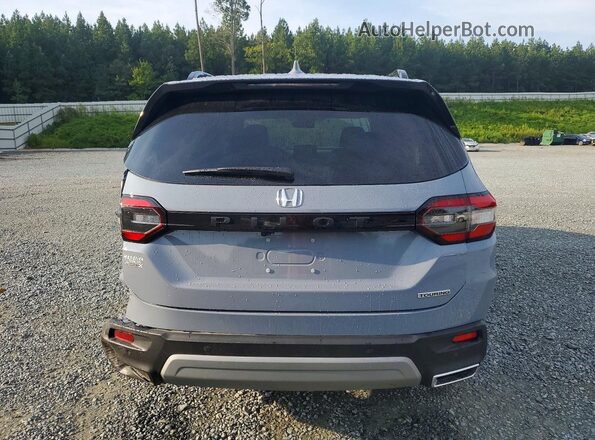 5FNYG2H71SB040975 2025 HONDA PILOT Blue Rear view