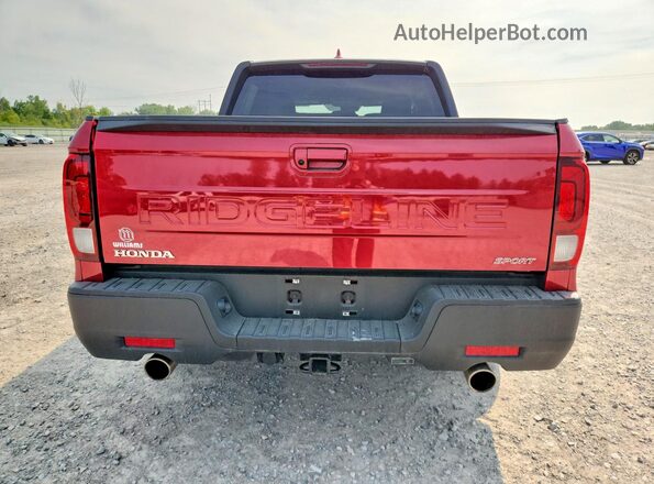 5FPYK3F11SB030909 2025 HONDA RIDGELINE Красный Вид сзади
