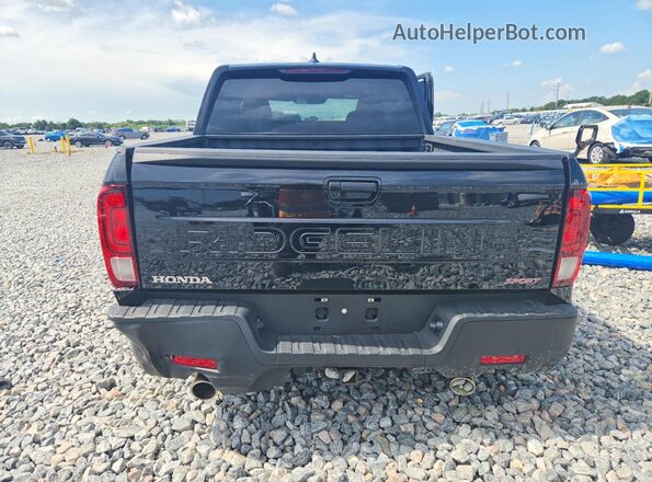 5FPYK3F21RB028192 2024 HONDA RIDGELINE Black Widok z tyłu