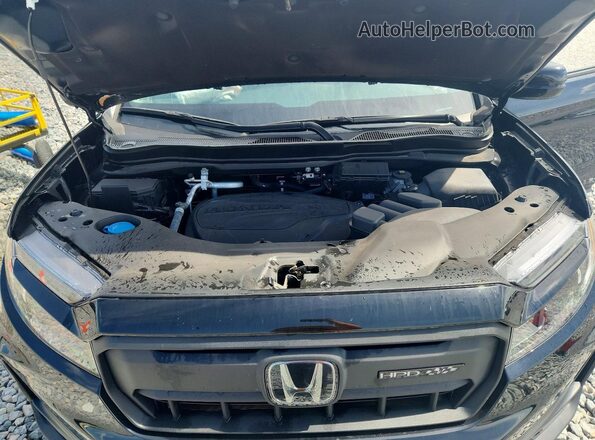 5FPYK3F21RB028192 2024 HONDA RIDGELINE Black Widok wnętrza z tyłu