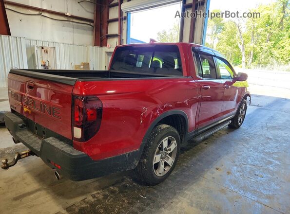 5FPYK3F59RB006855 2024 HONDA RIDGELINE Красный Задняя правая четверть