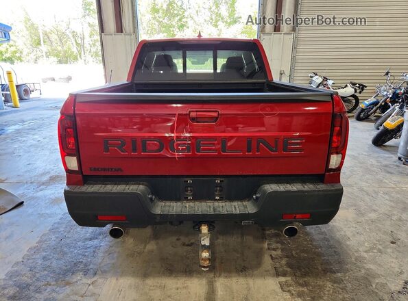 5FPYK3F59RB006855 2024 HONDA RIDGELINE Красный Вид сзади