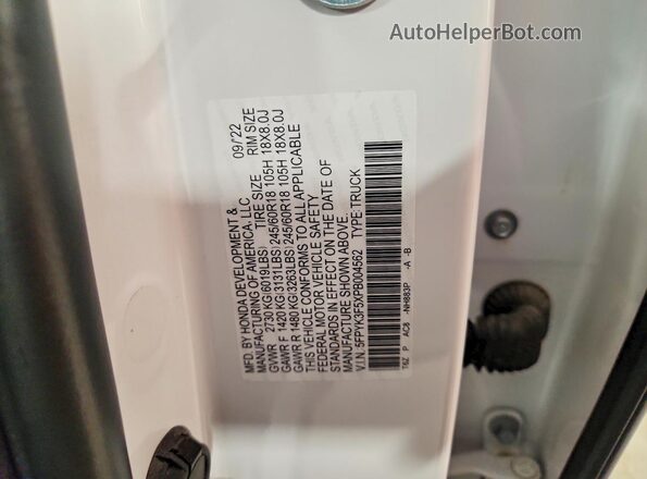 5FPYK3F5XPB004562 2023 HONDA RIDGELINE White Widok komory silnika