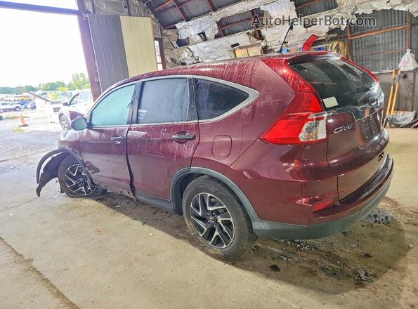 5J6RM4H4XGL096779 2016 HONDA CR-V Maroon Trasero izquierdo