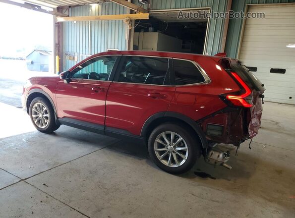 5J6RS4H74RL014855 2024 HONDA CR-V Красный Задняя левая четверть