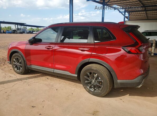 5J6RS5H83TL007773 2026 HONDA CR-V Red უკანა მარცხენა
