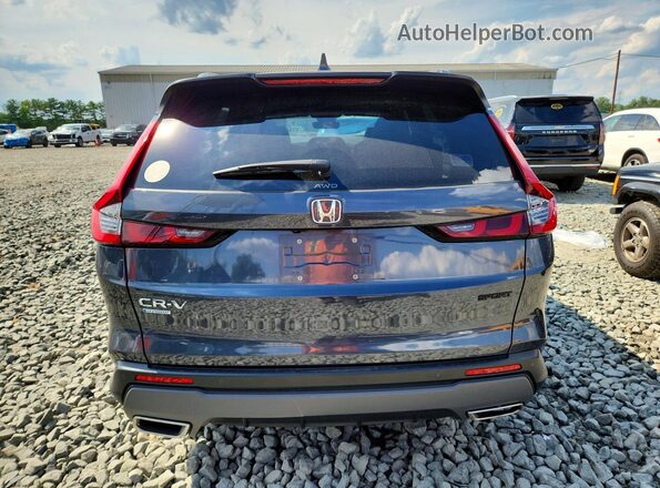 5J6RS6H89RL029355 2024 HONDA CR-V Gray უკანა ხედი