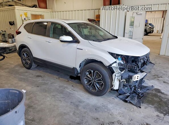 5J6RT6H54NL001556 2022 HONDA CR-V White Delantero derecho
