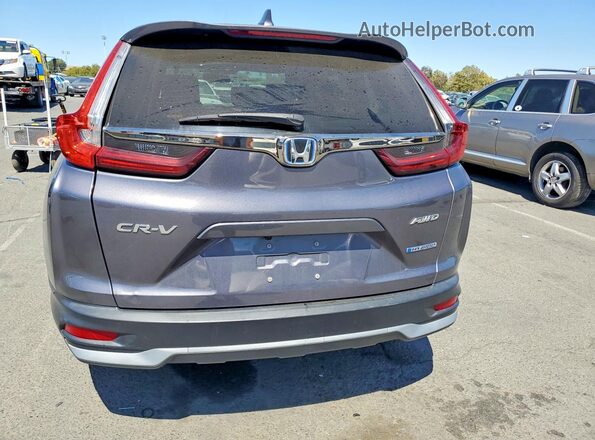 5J6RT6H55NL041449 2022 HONDA CR-V Серый Вид сзади