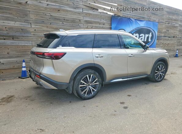 5N1AL1GSXSC345980 2025 INFINITI QX60 Silver Rear right