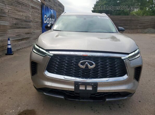 5N1AL1GSXSC345980 2025 INFINITI QX60 Silver Front view