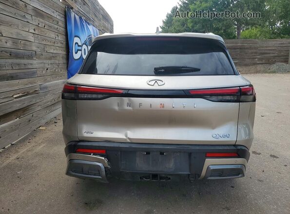 5N1AL1GSXSC345980 2025 INFINITI QX60 Silver Rear view