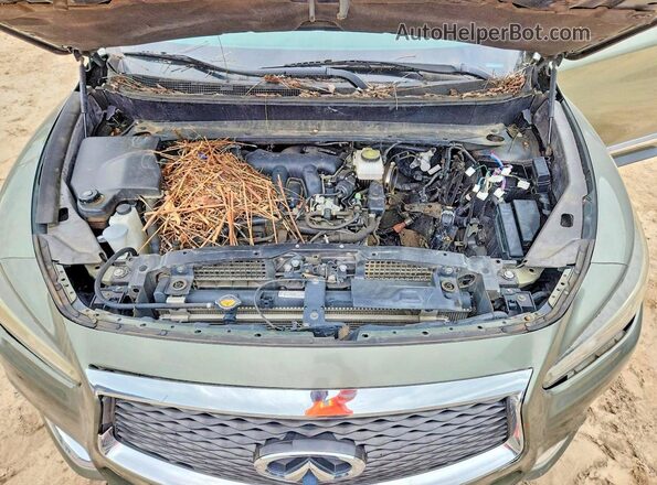 5N1DL0MN5HC501714 2017 INFINITI QX60 Green Vista interior trasera
