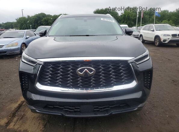 5N1DL1FS1RC354687 2024 INFINITI QX60 Black Vista frontal