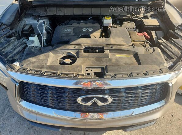 5N1DL1GS1PC372604 2023 INFINITI QX60 Tan Вид задньої частини салону