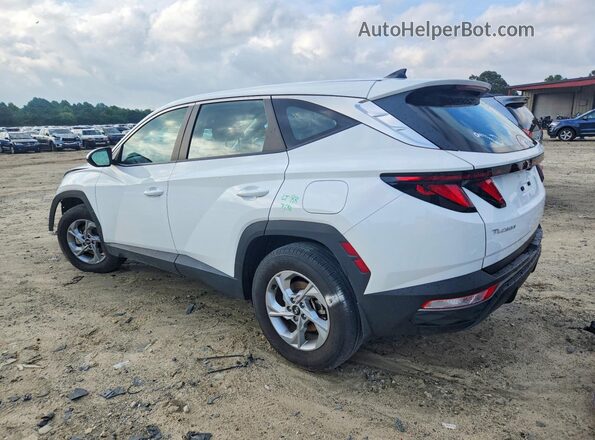 5NMJACAE5PH255671 2023 HYUNDAI TUCSON White Задня ліва чверть