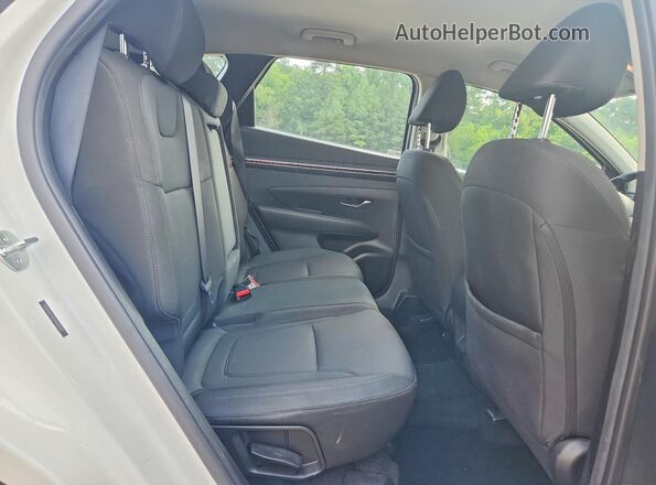5NMJACAE5PH255671 2023 HYUNDAI TUCSON White Вид задньої частини салону