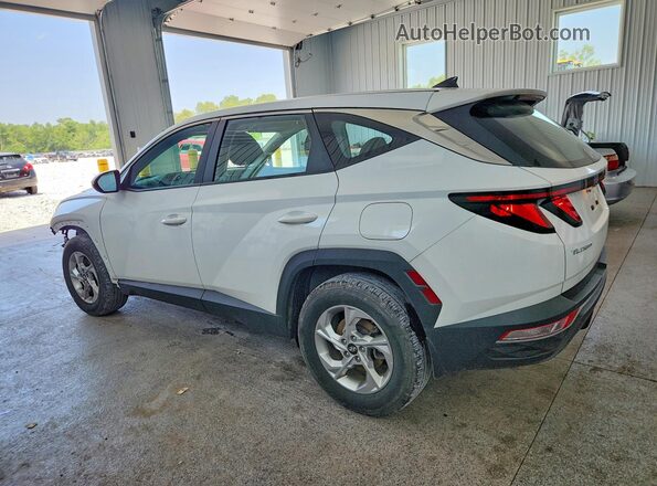 5NMJACDE7RH333768 2024 HYUNDAI TUCSON White Հետևի ձախ