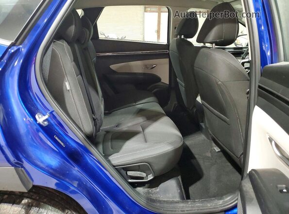 5NMJACDE9RH339913 2024 HYUNDAI TUCSON Blue Սալոնի հետևի տեսք