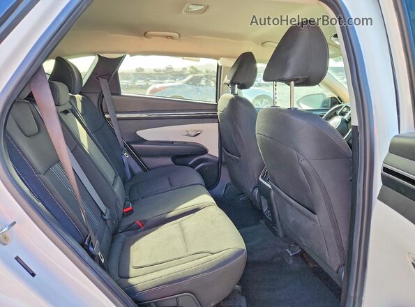 5NMJB3AE2PH174964 2023 HYUNDAI TUCSON Белый Вид задней части салона