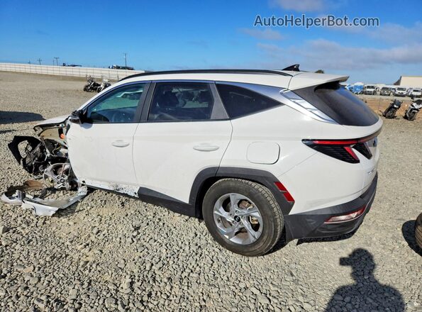 5NMJB3AE2PH174964 2023 HYUNDAI TUCSON Белый Задняя левая четверть