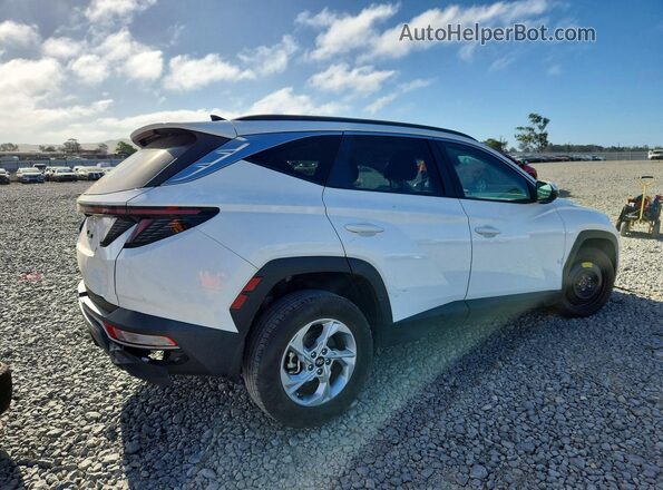 5NMJB3AE2PH174964 2023 HYUNDAI TUCSON Белый Задняя правая четверть