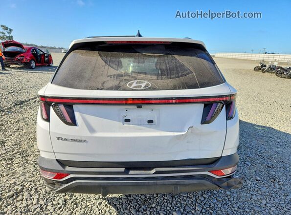 5NMJB3AE2PH174964 2023 HYUNDAI TUCSON Белый Вид сзади