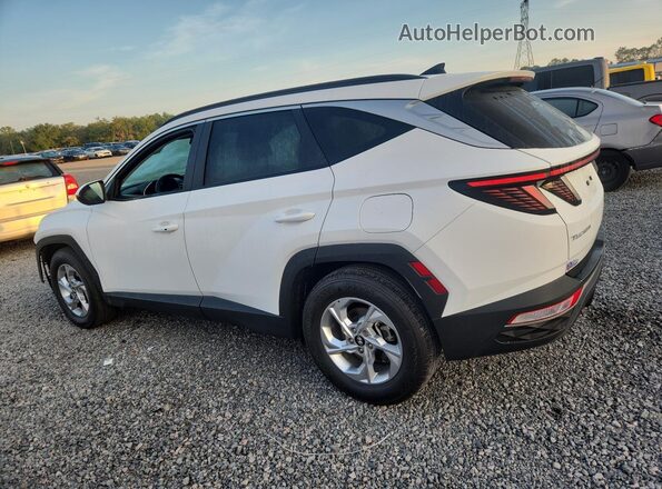 5NMJB3AE5NH145214 2022 HYUNDAI TUCSON White უკანა მარცხენა