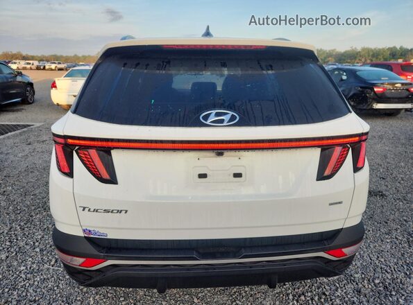 5NMJB3AE5NH145214 2022 HYUNDAI TUCSON White უკანა ხედი