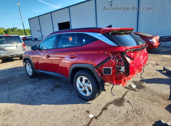 5NMJB3DE2RH414965 2024 HYUNDAI TUCSON Red უკანა მარცხენა