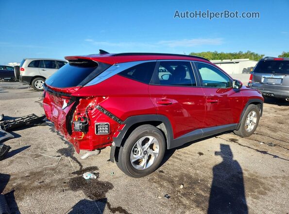 5NMJB3DE2RH414965 2024 HYUNDAI TUCSON Red უკანა მარჯვენა