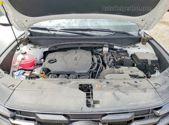 5NMJB3DE4SH503930 2025 HYUNDAI TUCSON Белый Вид задней части салона