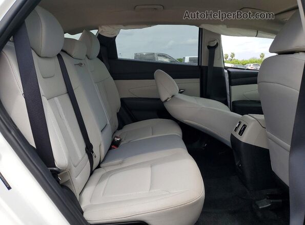 5NMJB3DE4SH503930 2025 HYUNDAI TUCSON Белый Вид задних сидений