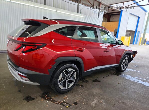 5NMJB3DE5SH491190 2025 HYUNDAI TUCSON Red Задня права чверть
