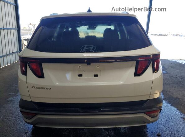 5NMJB3DE7SH467165 2025 HYUNDAI TUCSON White Widok z tyłu
