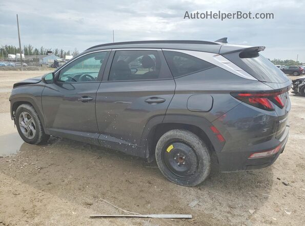 5NMJB3DEXRH300924 2024 HYUNDAI TUCSON Gray Задня ліва чверть