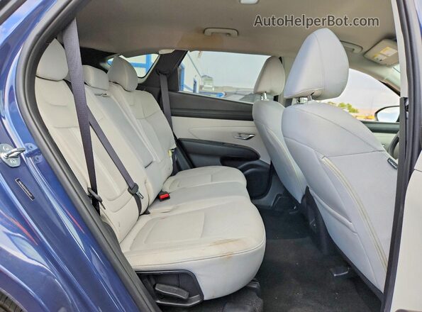5NMJB3DEXSH554672 2025 HYUNDAI TUCSON Blue Rear seats view