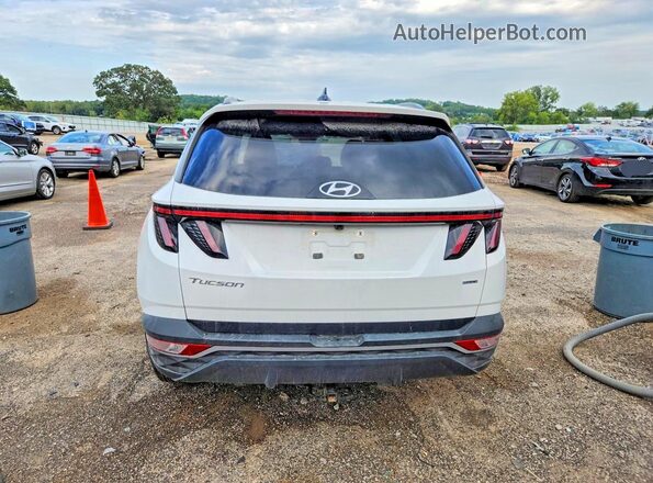 5NMJBCAE3NH160259 2022 HYUNDAI TUCSON White Հետևի տեսք