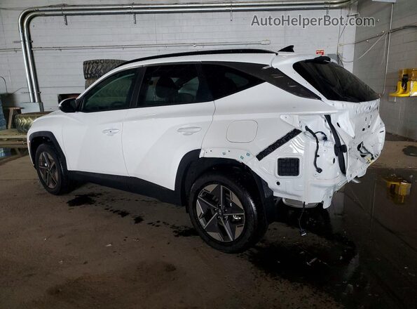 5NMJBCDE0TH607624 2026 HYUNDAI TUCSON Белый Задняя левая четверть