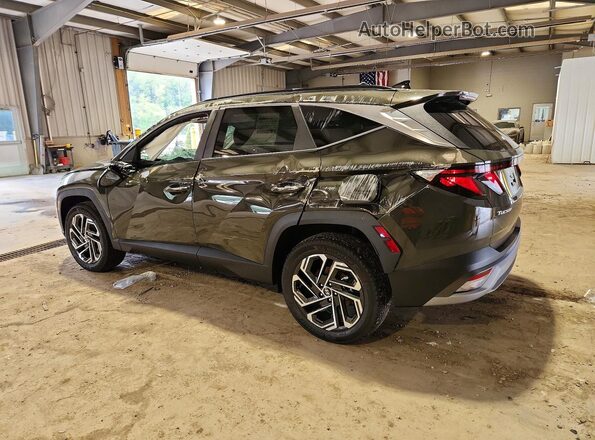 5NMJBCDE4TH750334 2026 HYUNDAI TUCSON Green Հետևի ձախ