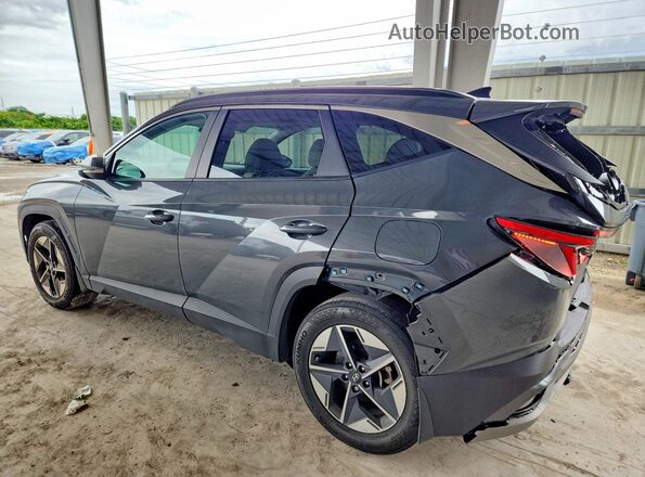 5NMJC3DE4SH544071 2025 HYUNDAI TUCSON Gray Հետևի ձախ