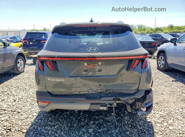 5NMJC3DE5SH480123 2025 HYUNDAI TUCSON Gray უკანა ხედი
