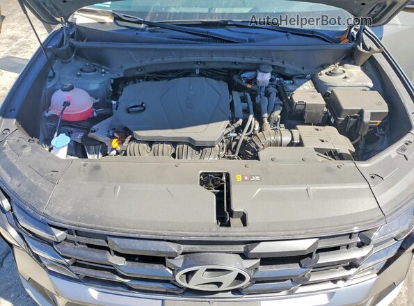 5NMJC3DE8SH562802 2025 HYUNDAI TUCSON Серый Вид задней части салона