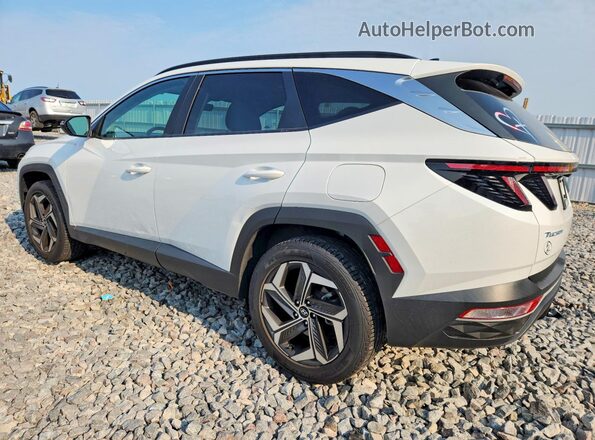 5NMJCCAE1NH160029 2022 HYUNDAI TUCSON White უკანა მარცხენა
