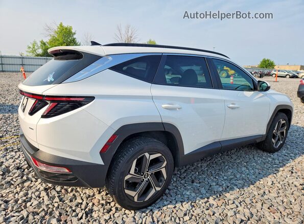 5NMJCCAE1NH160029 2022 HYUNDAI TUCSON White უკანა მარჯვენა