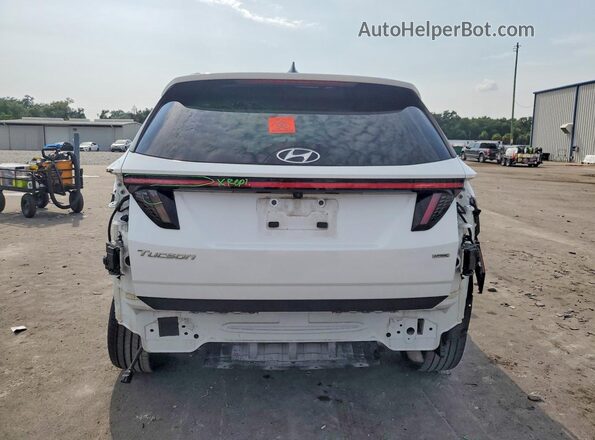 5NMJCCAE3NH048283 2022 HYUNDAI TUCSON White Widok z tyłu